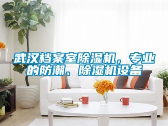 行业资讯武汉档案室除湿机，专业的防潮、除湿机设备