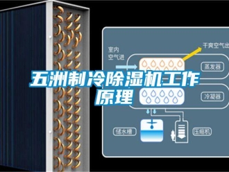 行业资讯五洲制冷除湿机工作原理