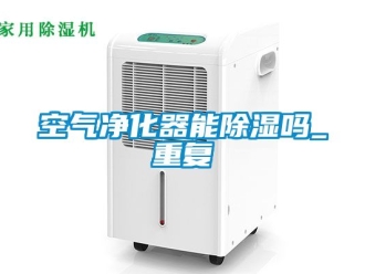 行业资讯空气净化器能除湿吗_重复