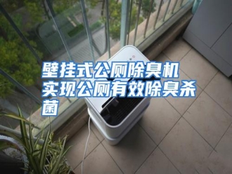 知识百科壁挂式公厕除臭机 实现公厕有效除臭杀菌