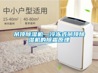 行业资讯吊顶除湿机—冷冻式吊顶除湿机的除霜原理