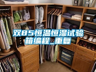知识百科双85恒温恒湿试验箱编程_重复