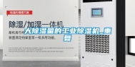 大除湿量的工业除湿机_重复