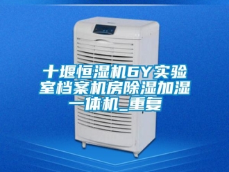 知识百科十堰恒湿机6Y实验室档案机房除湿加湿一体机_重复