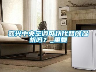 行业资讯嘉兴中央空调可以代替除湿机吗？_重复