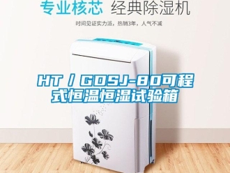 常见问题HT／GDSJ-80可程式恒温恒湿试验箱