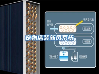 知识百科宠物店装新风系统