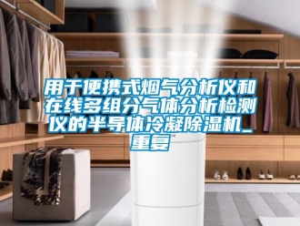 行业资讯用于便携式烟气分析仪和在线多组分气体分析检测仪的半导体冷凝除湿机_重复