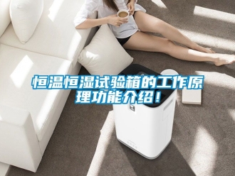 知识百科恒温恒湿试验箱的工作原理功能介绍！