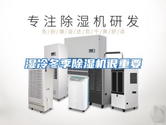 行业资讯湿冷冬季除湿机很重要