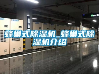 行业资讯蜂巢式除湿机_蜂巢式除湿机介绍