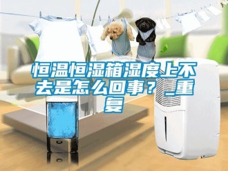 知识百科恒温恒湿箱湿度上不去是怎么回事？_重复