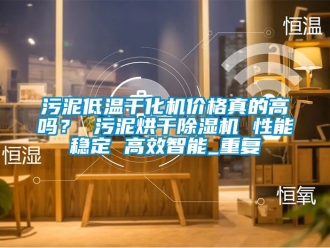 企业动态污泥低温干化机价格真的高吗？ 污泥烘干除湿机 性能稳定 高效智能_重复