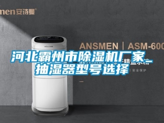 企业动态河北霸州市除湿机厂家_抽湿器型号选择