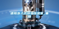 德阳步入式恒温恒湿室_重复