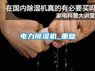 行业资讯电力除湿机_重复