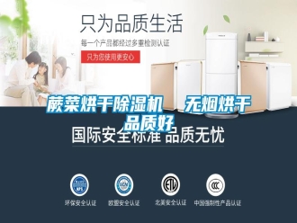 行业资讯蕨菜烘干除湿机  无烟烘干品质好