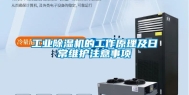 工业除湿机的工作原理及日常维护注意事项