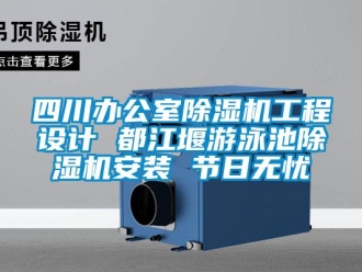 行业资讯四川办公室除湿机工程设计 都江堰游泳池除湿机安装 节日无忧