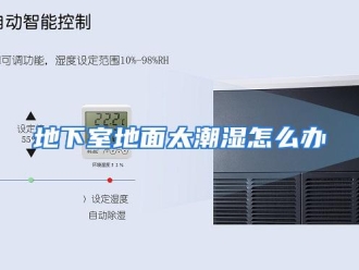 常见问题地下室地面太潮湿怎么办