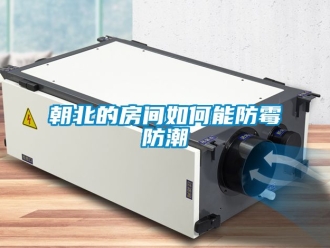 企业动态朝北的房间如何能防霉防潮