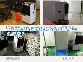 常见问题工业除湿机漏水有什么原因，怎么解决？