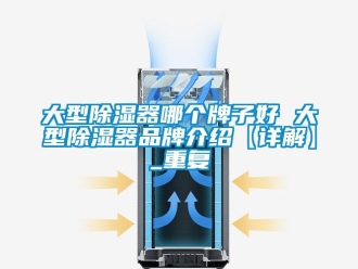 行业资讯大型除湿器哪个牌子好 大型除湿器品牌介绍【详解】_重复