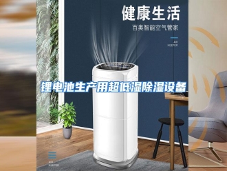 行业资讯锂电池生产用超低湿除湿设备