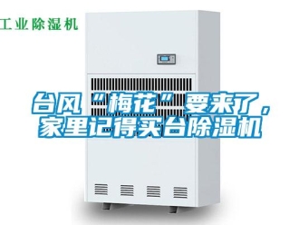 行业资讯台风“梅花”要来了，家里记得买台除湿机
