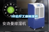 10公斤工业除湿机