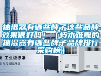 企业动态抽湿器有哪些牌子这些品牌效果很好吗！（朽木难雕的抽湿器有哪些牌子品牌排行采购榜）