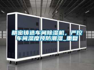 企业动态精密铸造车间除湿机，严控车间湿度预防潮湿_重复