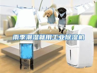 常见问题雨季潮湿就用工业除湿机