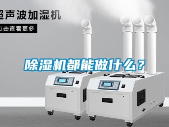 常见问题除湿机都能做什么？