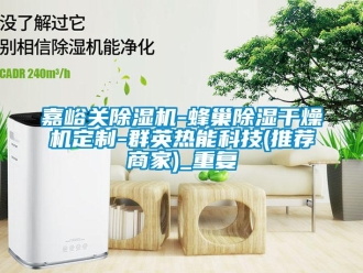 行业资讯嘉峪关除湿机-蜂巢除湿干燥机定制-群英热能科技(推荐商家)_重复
