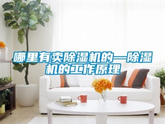 行业资讯哪里有卖除湿机的—除湿机的工作原理