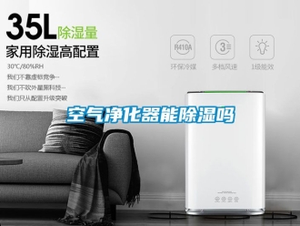行业资讯空气净化器能除湿吗