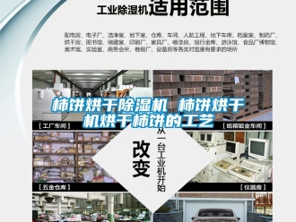 行业资讯柿饼烘干除湿机 柿饼烘干机烘干柿饼的工艺