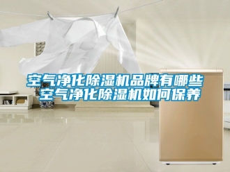企业动态空气净化除湿机品牌有哪些 空气净化除湿机如何保养