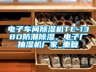 企业动态电子车间除湿机TE-138D防潮除湿，电子厂抽湿机厂家_重复