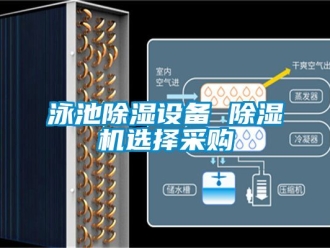 行业资讯泳池除湿设备 除湿机选择采购