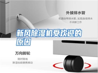 行业资讯新风除湿机受欢迎的原因