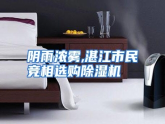 行业资讯阴雨浓雾,湛江市民竞相选购除湿机