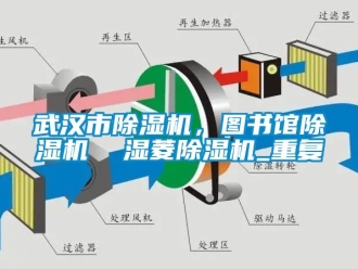 行业资讯武汉市除湿机，图书馆除湿机  湿菱除湿机_重复