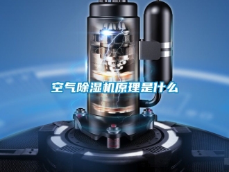 行业资讯空气除湿机原理是什么