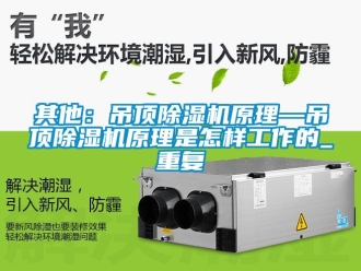 行业资讯其他：吊顶除湿机原理—吊顶除湿机原理是怎样工作的_重复