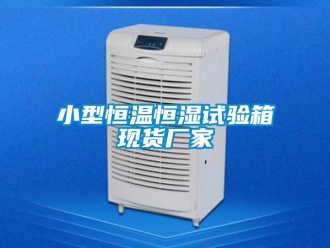 知识百科小型恒温恒湿试验箱现货厂家