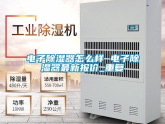 行业资讯电子除湿器怎么样 电子除湿器最新报价_重复
