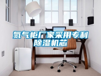 企业动态氮气柜厂家采用专利除湿机芯