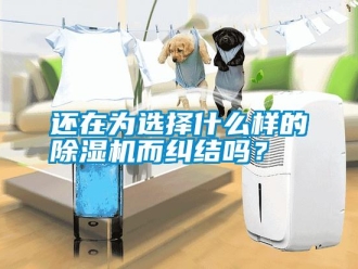常见问题还在为选择什么样的除湿机而纠结吗？